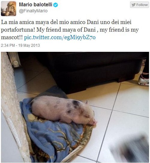 Balotelli sam podłożył sobie... świnię